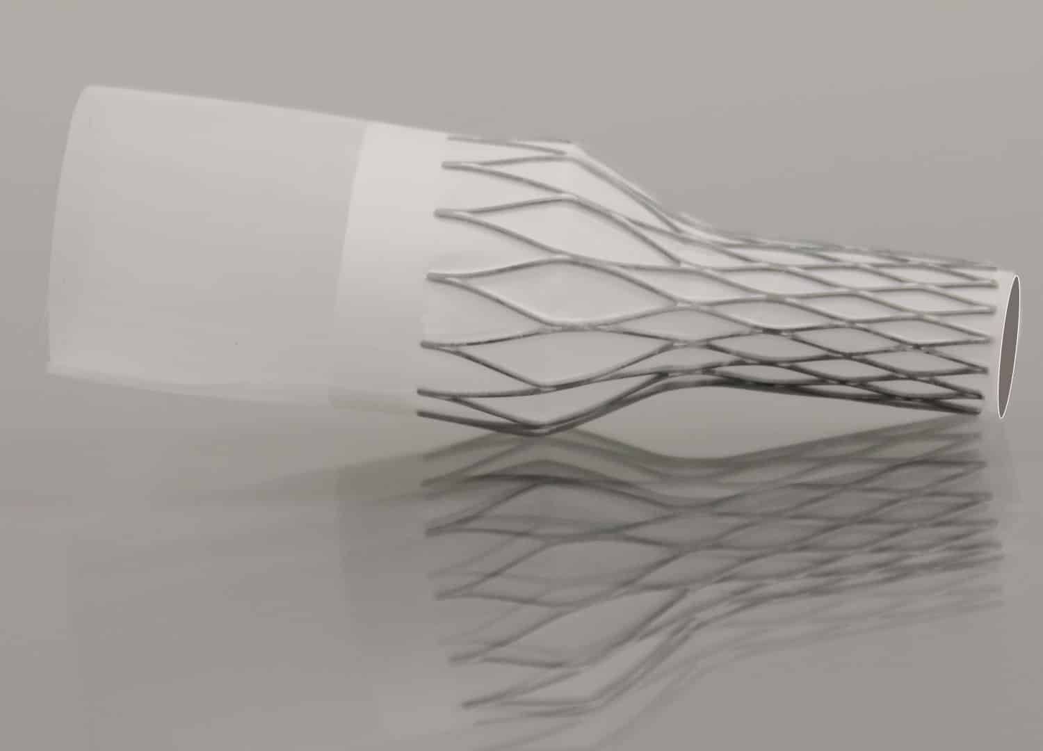 Structural heart device PTFE covered structural heart frame