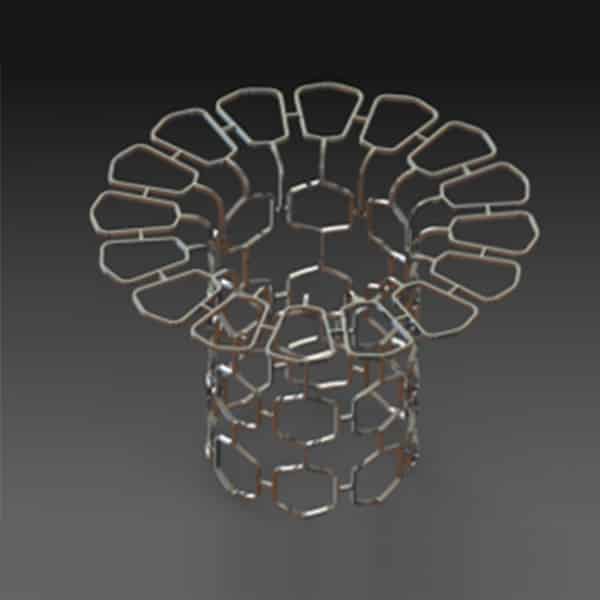 Structural Heart Valve Frame